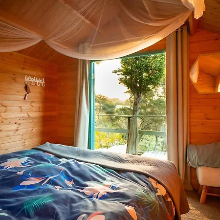 Tui Ridge Eco Cabins Aongatete Exterior photo