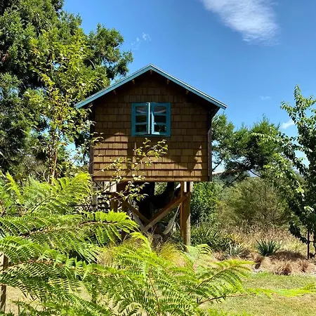 Tui Ridge Eco Cabins Aongatete Exterior photo