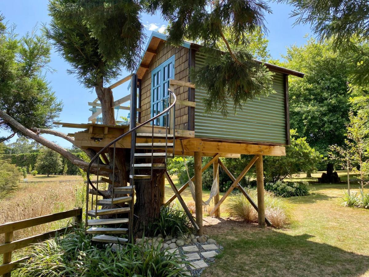 Tui Ridge Eco Chalet *