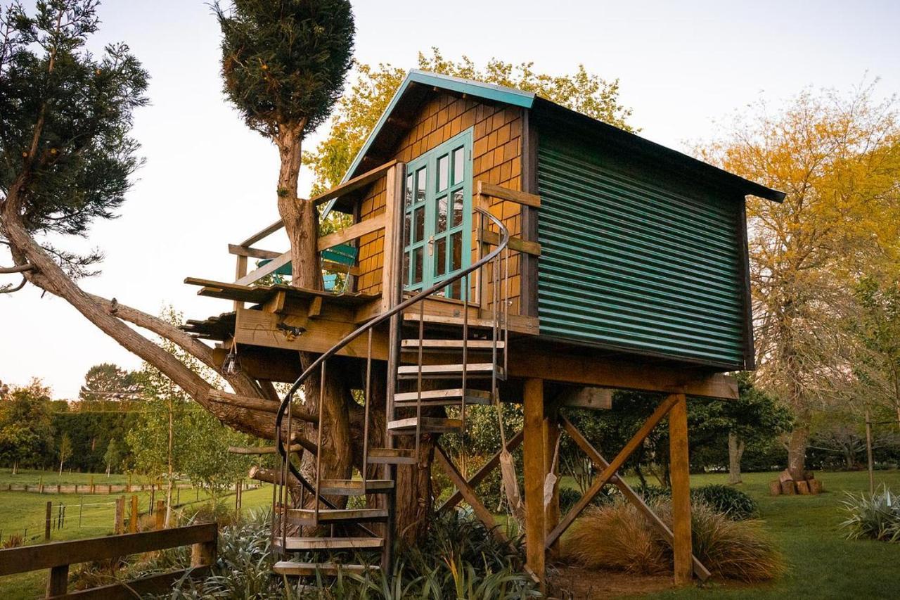 Tui Ridge Eco Aongatete