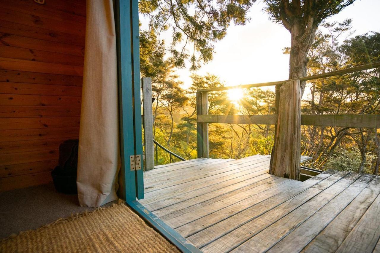 Tui Ridge Eco * Aongatete